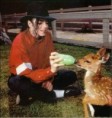 /album/fotogaleria/a66-jpg/